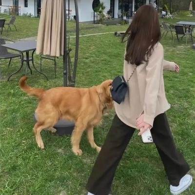 索女罗拉