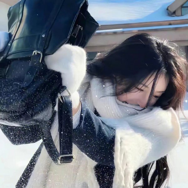 少数意见